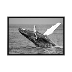 QUADRO ANIMAIS 017 C/V 90 cm x 60 cm