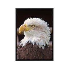 QUADRO ANIMAIS 019 C/V 80 cm x 100 cm