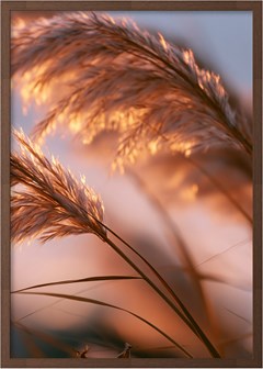 QUADRO LUGARES 036 PAMPAS DUPLA C/V 50 cm x 70 cm