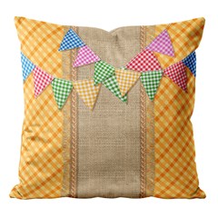 CAPA SAO JOAO 314 43 cm x 43 cm