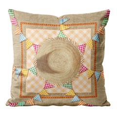 CAPA SAO JOAO 315 43 cm x 43 cm