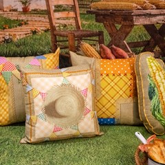 CAPA SAO JOAO 315 43 cm x 43 cm