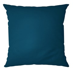 ALMOFADA DURAND 167 LISA TURQUESA 43 cm x 43 cm