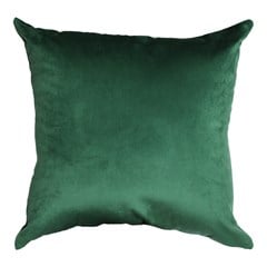 ALMOFADA PREMIUM LISA VERDE 342 50 cm x 50 cm