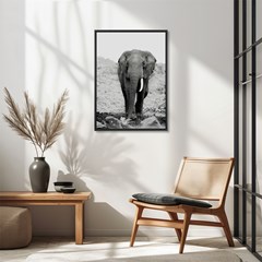 QUADRO ANIMAIS 013 S/V 80 cm x 100 cm