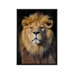 QUADRO ANIMAIS 015 S/V 80 cm x 100 cm