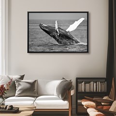 QUADRO ANIMAIS 017 S/V 90 cm x 60 cm