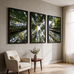 QUADRO LUGARES 033 TRONCOS E CEU TRIO S/V 50 cm x 70 cm