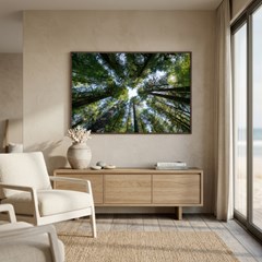 QUADRO TELA LUGARES 038 TRONCOS FLORESTA C/ MOLDURA 120 cm x 80 cm
