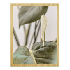 QUADRO BOHO 005 FOLHAGEM S/V 32 cm x 42 cm