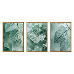 QUADRO FOLHAS 014 BOTANICO TRIO S/V 50 cm x 70 cm