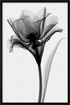 QUADRO FLORAL 009 PINTURA ABSTRATA DUPLA S/V 60 cm x 90 cm